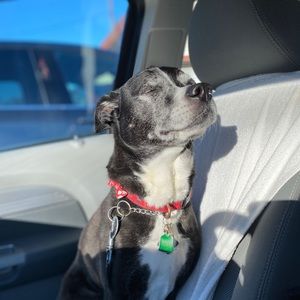 Meet your Posher, Fiona